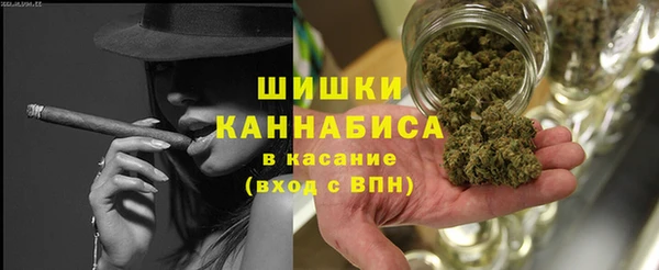 ГАЛЛЮЦИНОГЕННЫЕ ГРИБЫ Баксан