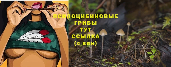прущие крисы Балабаново